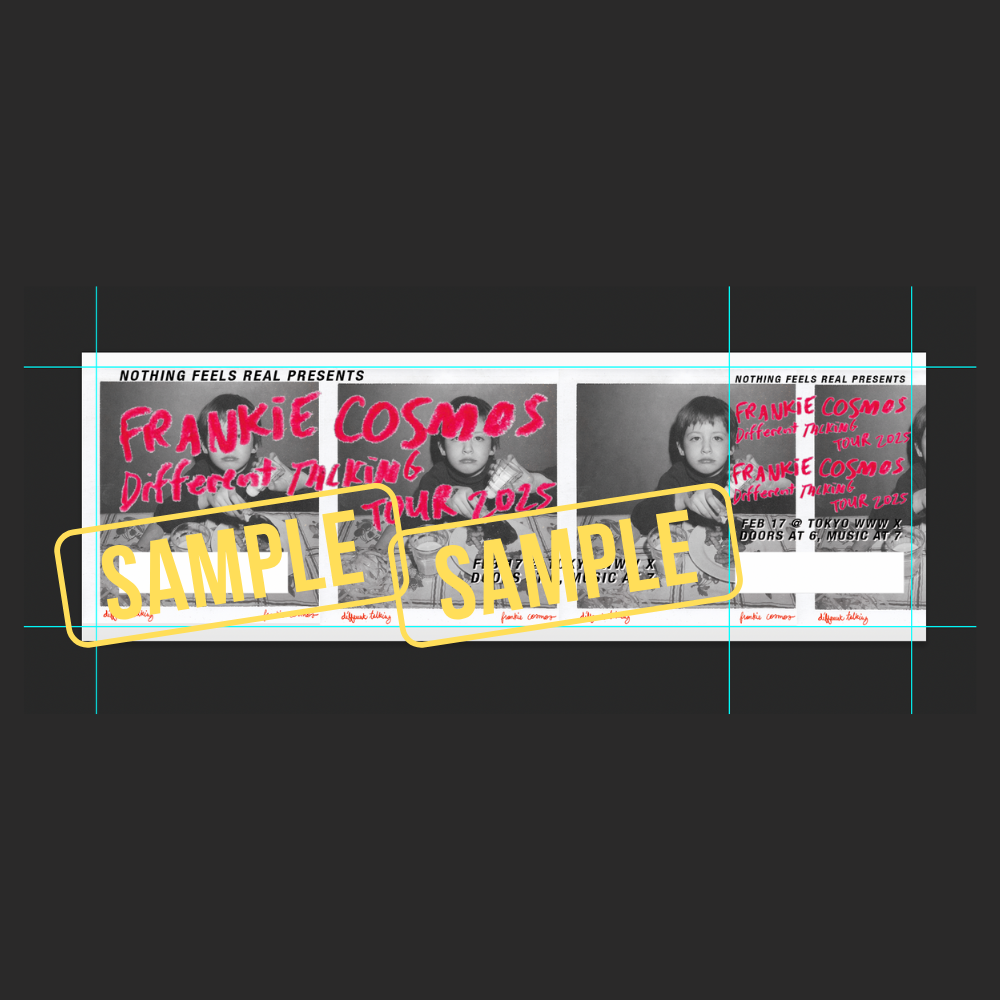 Frankie Cosmos Japan Tour 2026 - Official Tickets | Nothing Feels Real